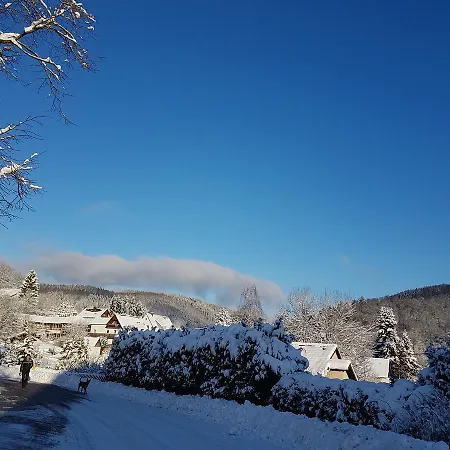 Hotel Zur Schanze 3*