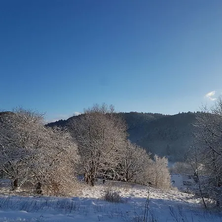 Zur Schanze 3* Wieda